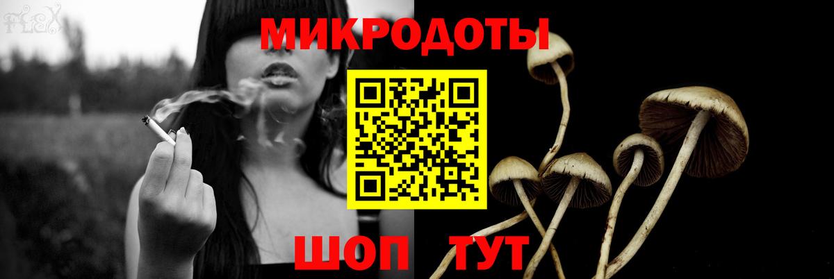 Тулун  Псилоцибиновые грибы MAGIC MUSHROOMS  Вход с VPN 